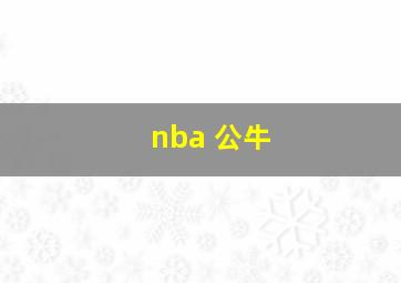 nba 公牛